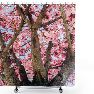 Personality  Pink Trumpet Tree Shower Curtains