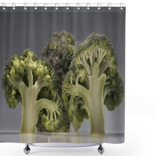 Personality  Healthy Ripe Broccoli Branches Shower Curtains