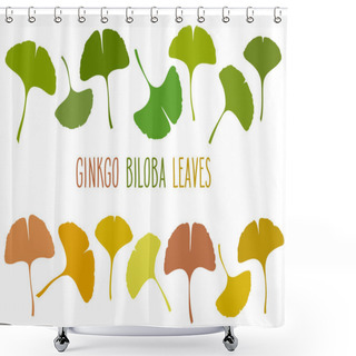 Personality  Seasonal Ginkgo Or Gingko Biloba Leaves Set. Nature Botanical Vector Illustration, Herbal Medicine Graphic Isolated Over White. Shower Curtains