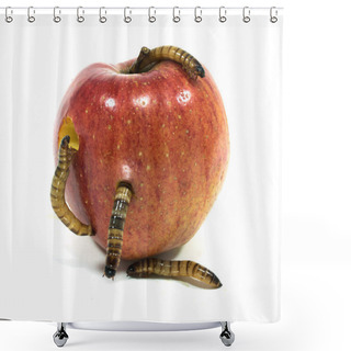 Personality  Worm Is Coming Out Of Bitten Apple Shower Curtains
