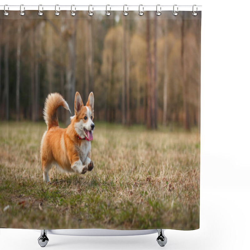 Personality  Dog Breed Welsh Corgi Pembroke Shower Curtains