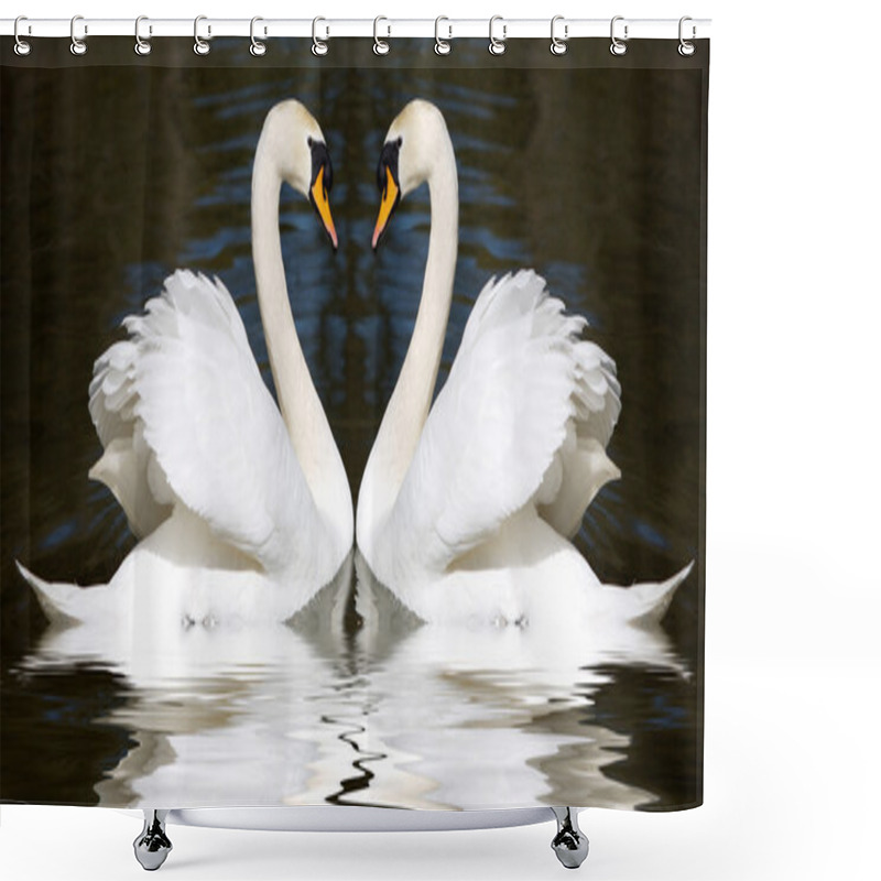 Personality  Loving Swans Shower Curtains