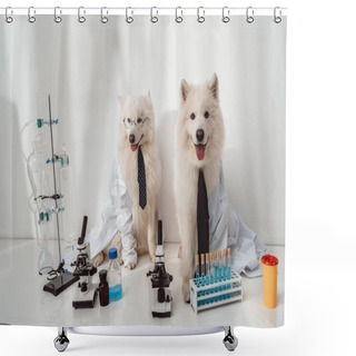 Personality  Dogs Scientists In Lab Coats  Shower Curtains