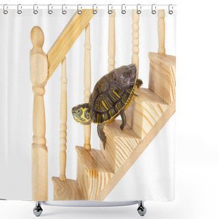 Personality  Turtle Going Down Shower Curtains