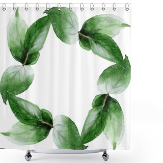 Personality  Green Camellia Leaves Isolated On White. Watercolor Background Illustration Set. Frame Border Ornament With Copy Space. Shower Curtains
