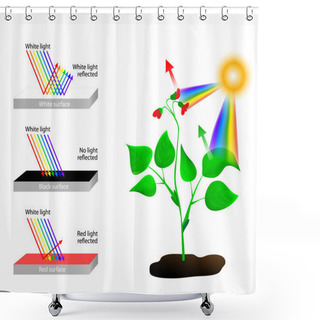 Personality  Reflects And Absorbs. Spectrum Of Colors And Sunlight Shower Curtains