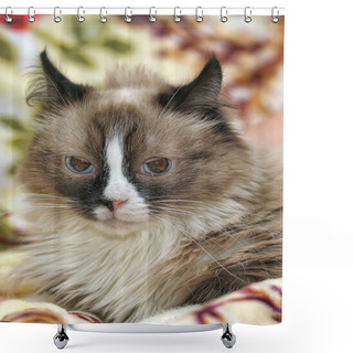 Personality  Spotted Cat Shower Curtains