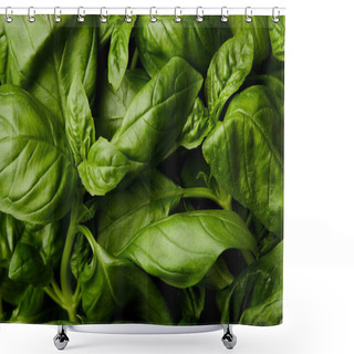 Personality  Full Frame Shot Of Fresh Green Basil For Background Shower Curtains