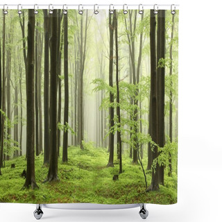 Personality  Spring Beech Forest In The Fog Shower Curtains