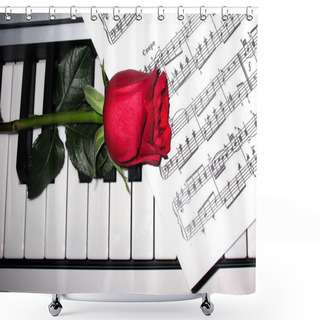 Personality  Rose And Piano Shower Curtains