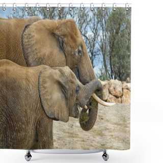 Personality  Elephants Shower Curtains