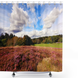 Personality  Scottish Fields Of Heather On A Sunny Day Shower Curtains