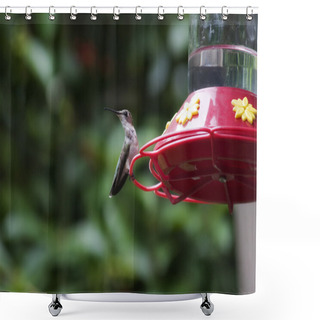 Personality  Hummingbird At A Feeder Shower Curtains