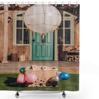 Personality  Adorable Labrador Puppies Shower Curtains