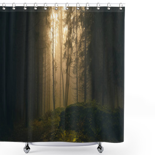 Personality  Foggy Forest, Light Coming Through Trees, Stones, Moss, Wood Fern, Spruce Trees. Gloomy Magical Landscape At Autumn/fall. Jeseniky Mountains, Eastern Europe, Moravia.  Shower Curtains