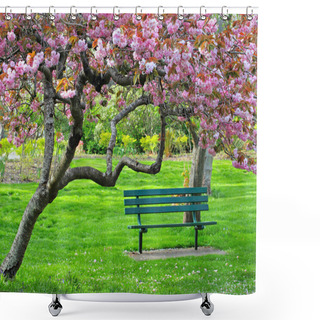 Personality  Bench Under The Cherry Bloom Shower Curtains