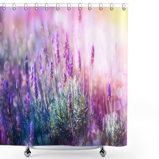 Personality  Lavender Flowers Field. Growing And Blooming Lavender Shower Curtains