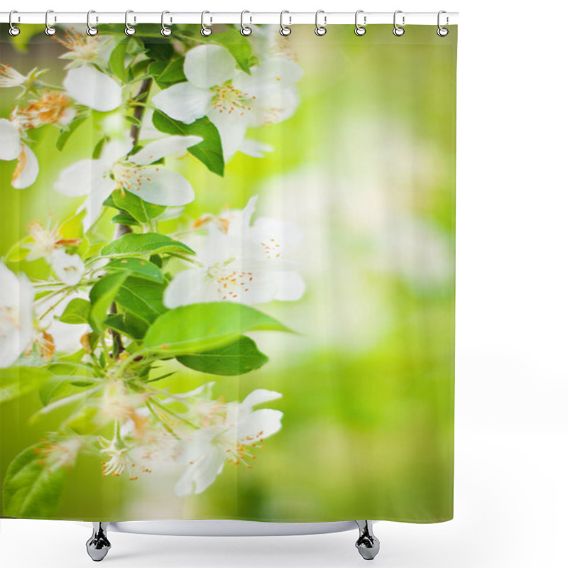 Personality  Blossoming Tree Shower Curtains