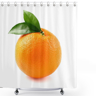 Personality  Sweet Ripe Orange Shower Curtains