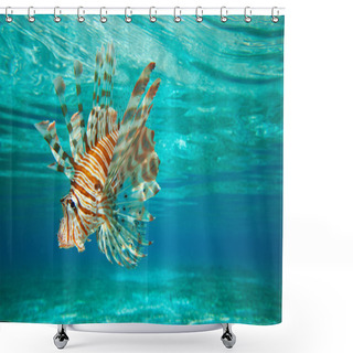 Personality  Lion Fish  Swimming Shower Curtains