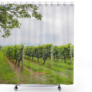 Personality  Vineyard Shower Curtains