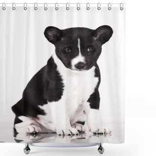 Personality  Basenji Shower Curtains