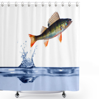 Personality  Small Perch Above Blue Water Shower Curtains