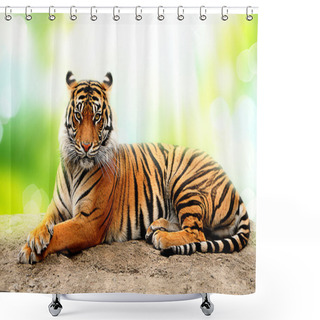 Personality  Tiger Shower Curtains