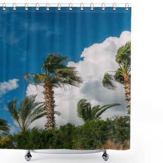 Personality  Green Palm Trees Against Blue Sky With Clouds  Shower Curtains