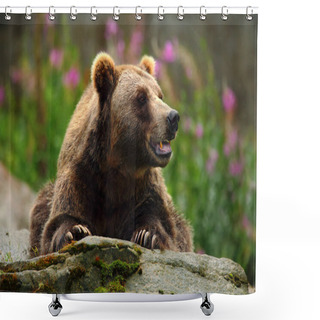 Personality  Portrait Of Brown Bear Shower Curtains