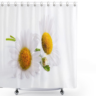 Personality  Art Daisies Spring White Flower Isolated On White Background Shower Curtains