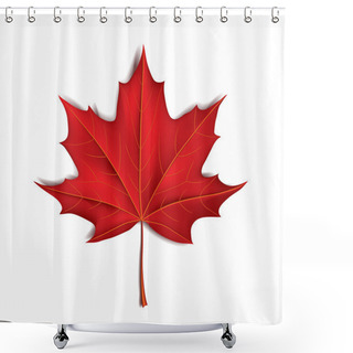 Personality  Red Maple Leaf Isolated On White Vector Shower Curtains
