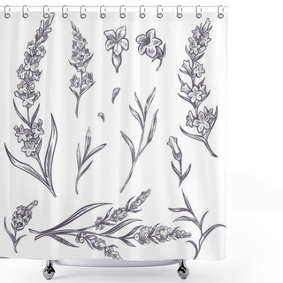 Personality  Lavender Flower Branches And Blooming Sketches Shower Curtains