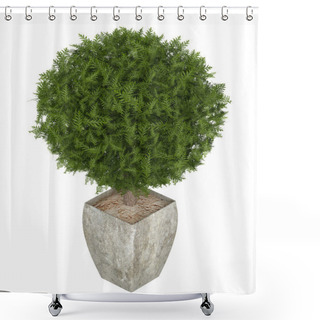 Personality  Evergreen Cypress Topiary Tree Shower Curtains