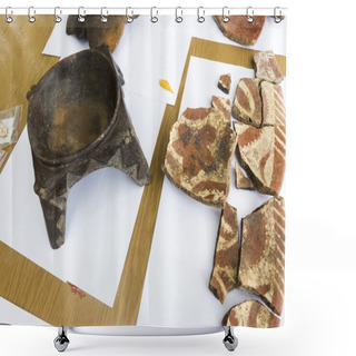 Personality  Archaeological Excavations Human Bones Shower Curtains