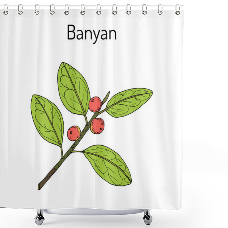 Personality  Indian Banyan Ficus Benghalensis , Medicinal Plant Shower Curtains