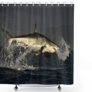 Personality  Flying Great White Shark. Shower Curtains