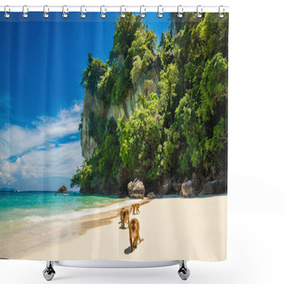 Personality  Monkeys Waiting For Food In Monkey Beach, Thailand Shower Curtains