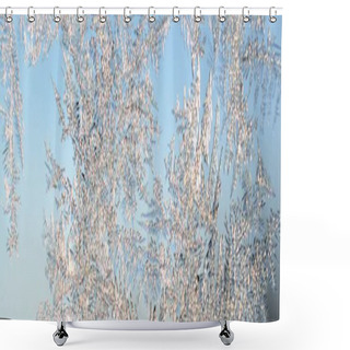 Personality  Snowflakes Frost Rime Macro On Window Glass Pane Shower Curtains