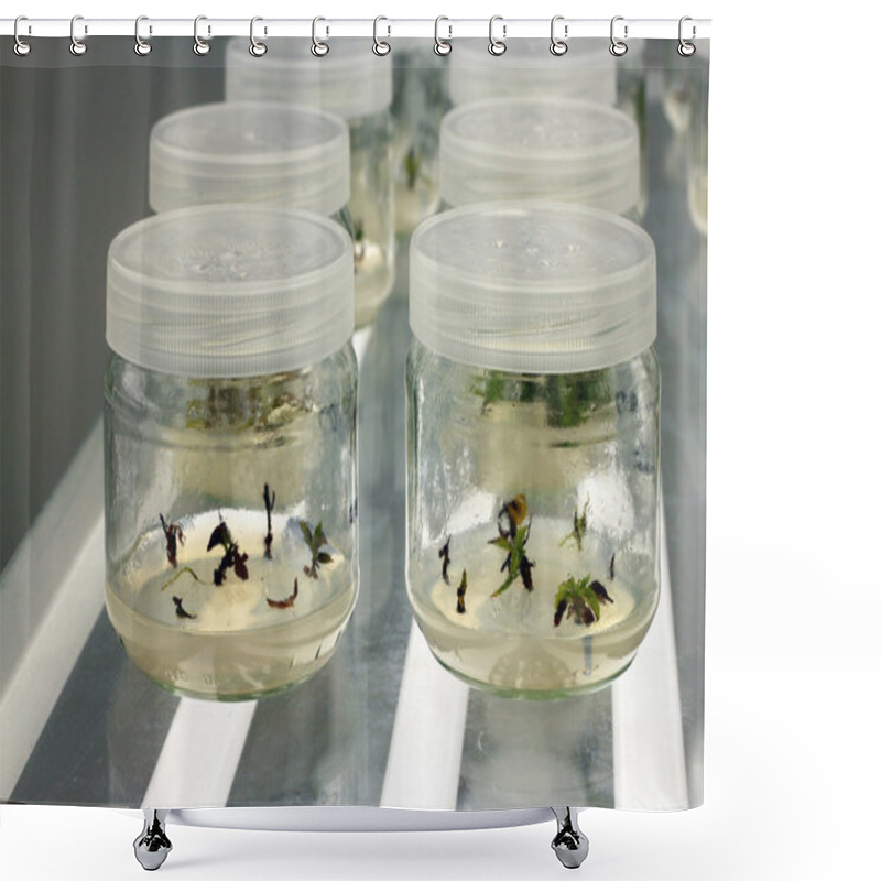 Personality  Meristem Tissue Culture Laboratory. Shower Curtains