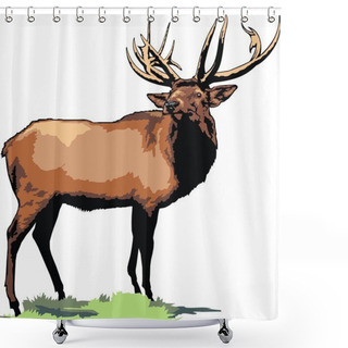 Personality  Wild Big Buck Shower Curtains