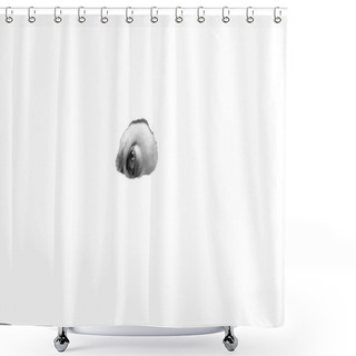 Personality  Parts Of The Face On A White Background Shower Curtains