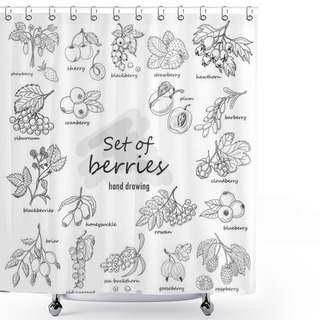 Personality  Collection Of Garden And Wild Berries In Sketch Style Shower Curtains