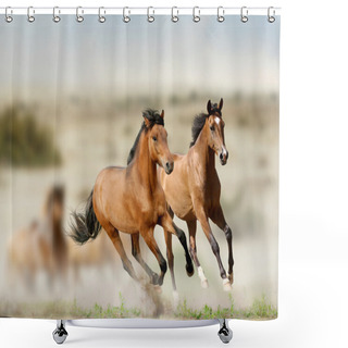Personality  Horses Shower Curtains