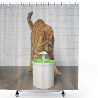 Personality   Thirsty Ginger Cat Looking Curious To A Pet Drinking Fountain. Shower Curtains