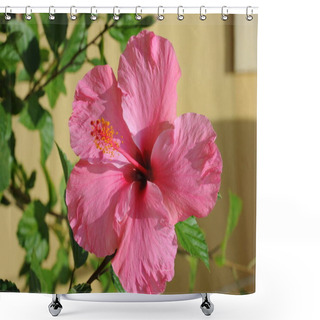 Personality  Scenic Of Beautiful Colorful Hibiscus Flower Shower Curtains
