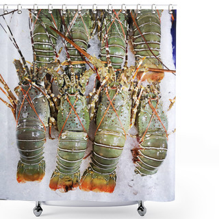 Personality  Bunch Of Fresh Oriental Slipper Lobster Thenus Orientalis, Flathead Lobster, Crayfish Being Displayed On Ice. Street Seafood In Asia Spiny Bay Lobster Moreton Bay Bug  Close-up Placed In A Row On The Refrigerated Panel At The Food Market In Thailand Shower Curtains