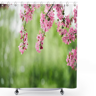 Personality  Close-up Shot Of Pink Cherry Blossom On Green Natural Background Shower Curtains