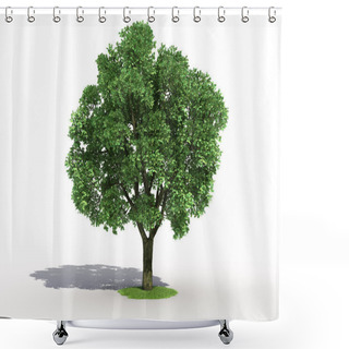 Personality  Elm Tree Shower Curtains