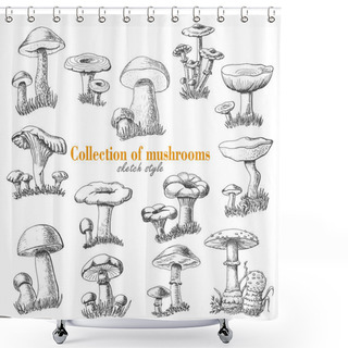 Personality  Collection Of Mushrooms In Sketch Style Shower Curtains